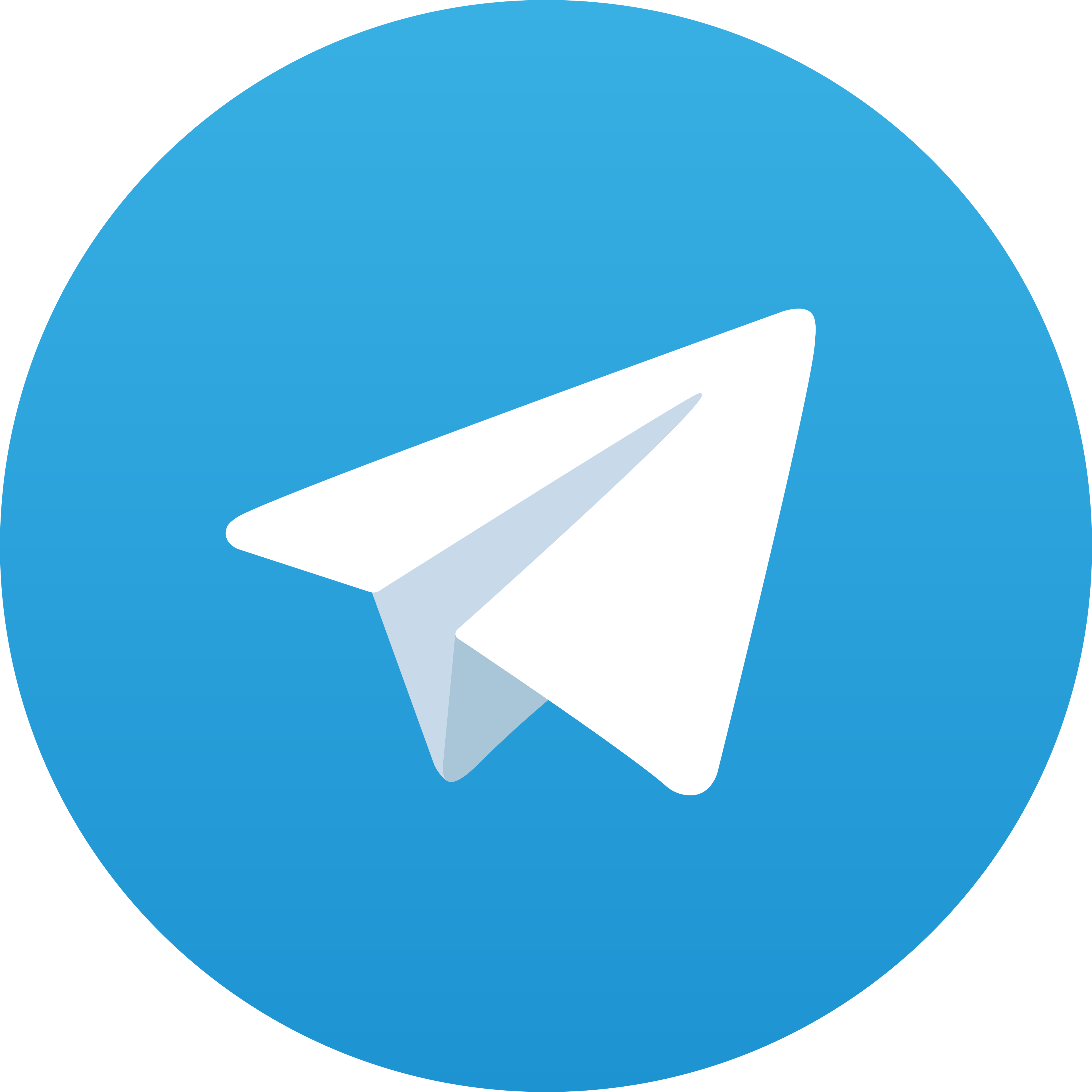 Telegram MISTERONLINE